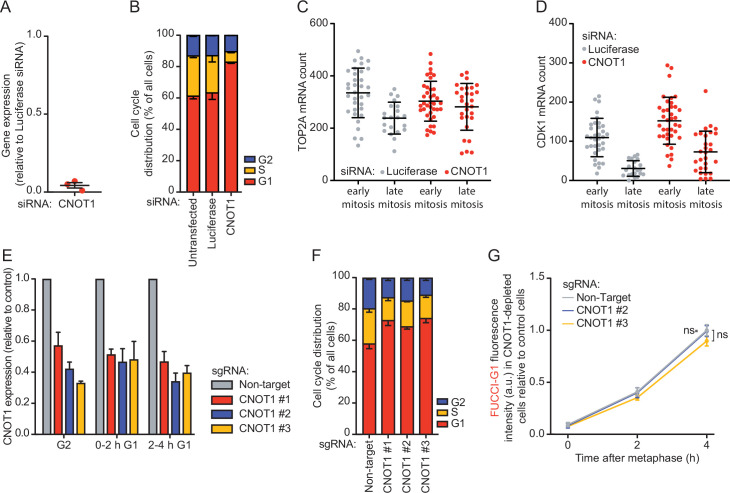 Figure 4—figure supplement 1.