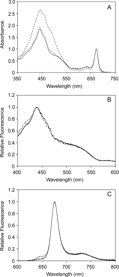 Fig. 5.