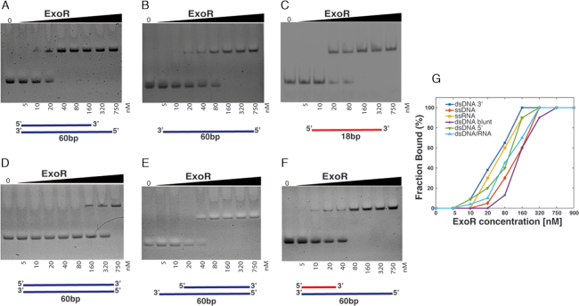 Figure 9.