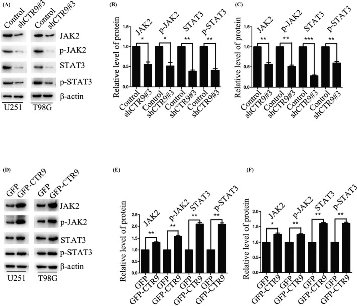 FIGURE 4