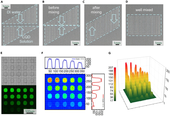 Figure 4