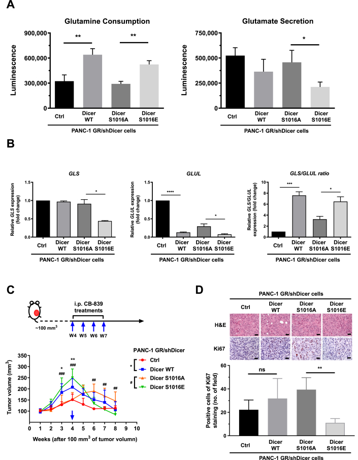 Figure 6