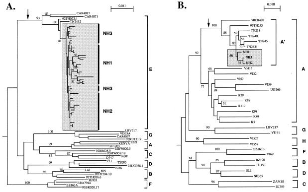 FIG. 1