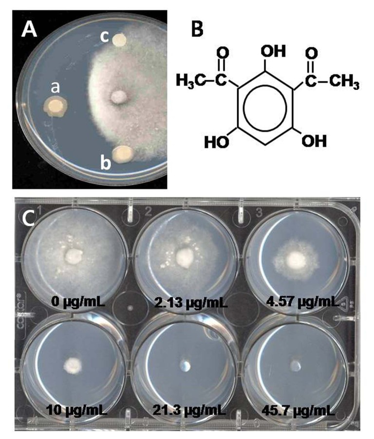 Fig. 2