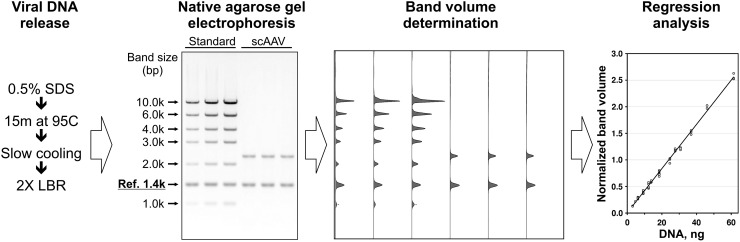 FIG. 4.