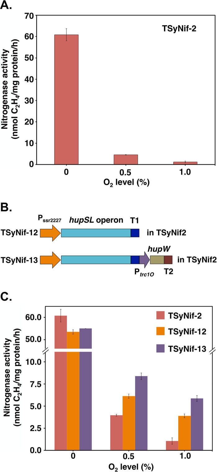 FIG 4 