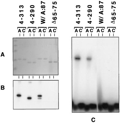 FIG. 7