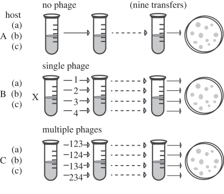 Figure 1.