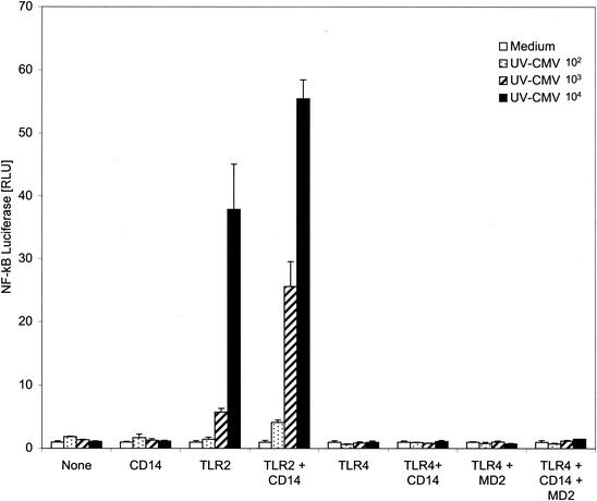 FIG. 6.