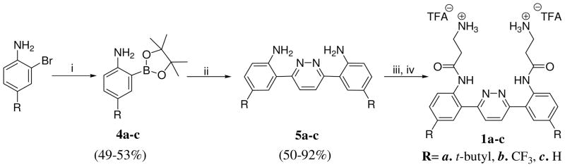 Scheme 1