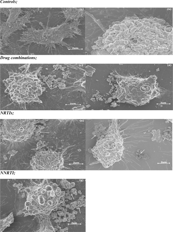 Fig. 9