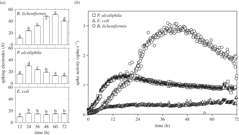 Figure 4.