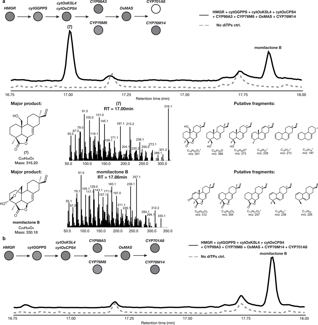 Extended Data Fig. 8