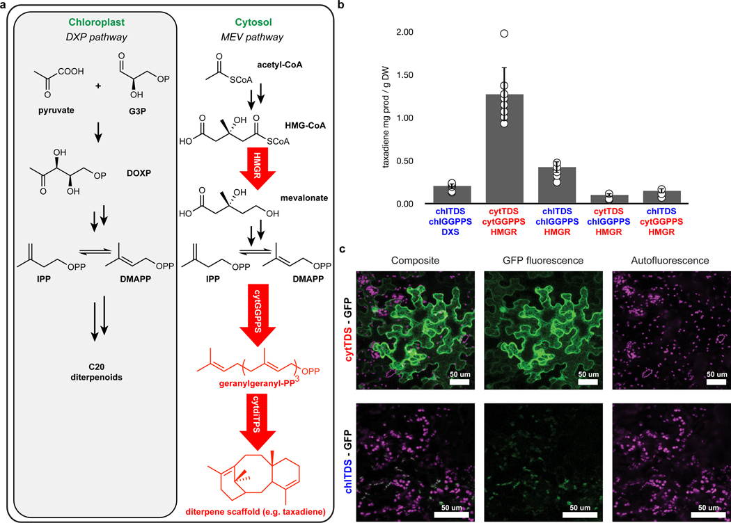 Fig. 2: