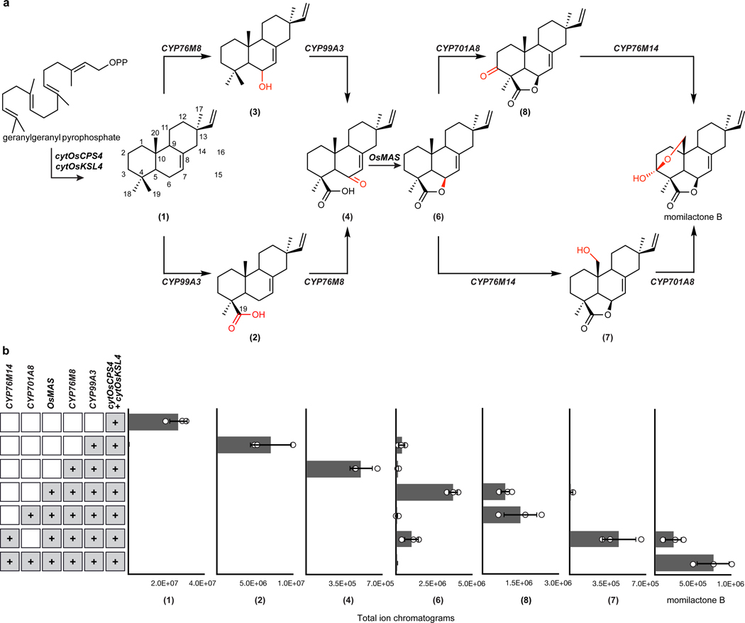 Fig. 4: