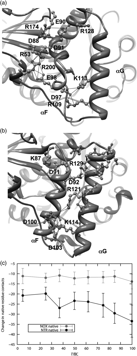 Fig. 7