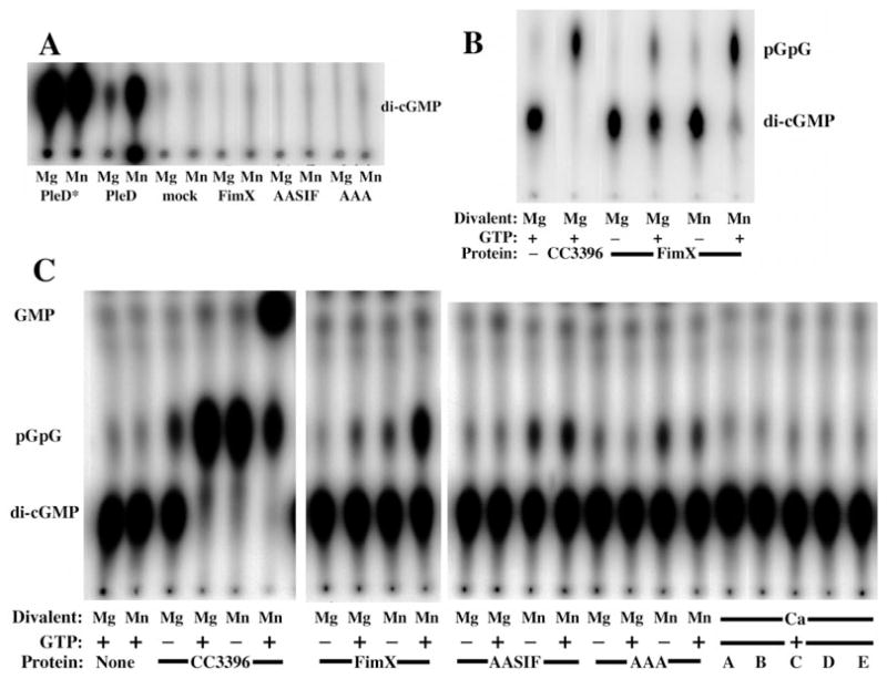 Fig. 5