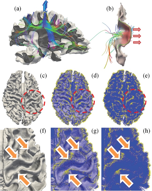 Figure 2.