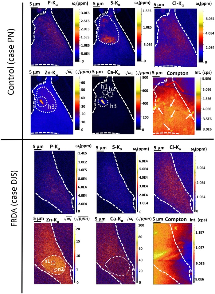 Fig 3