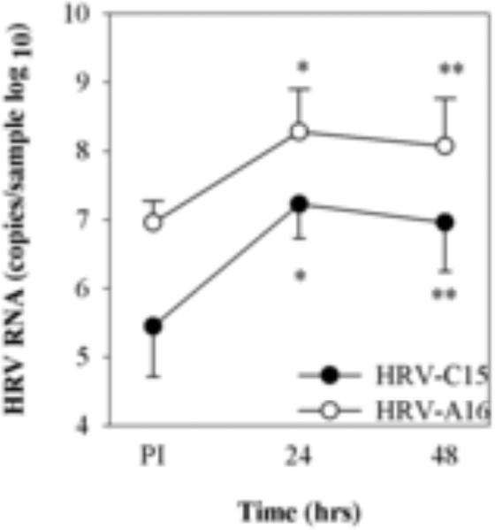 Fig.3