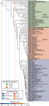 FIG 1