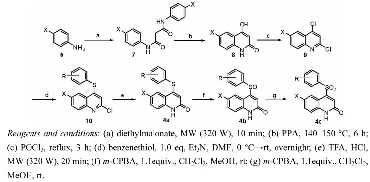 Scheme 1