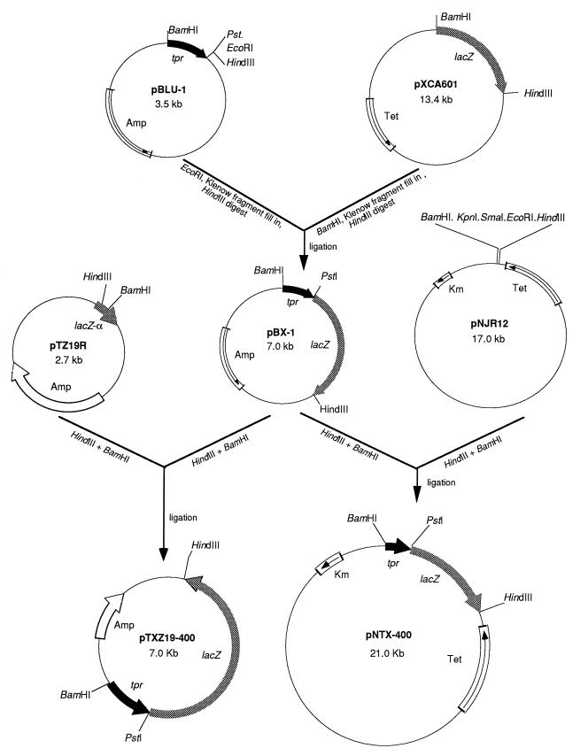 FIG. 1