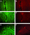 FIG. 4.