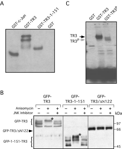 FIG. 11.