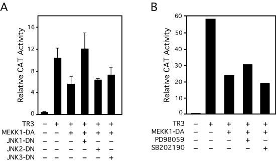 FIG. 10.