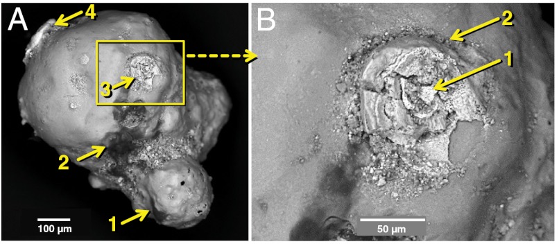 Fig. 8.