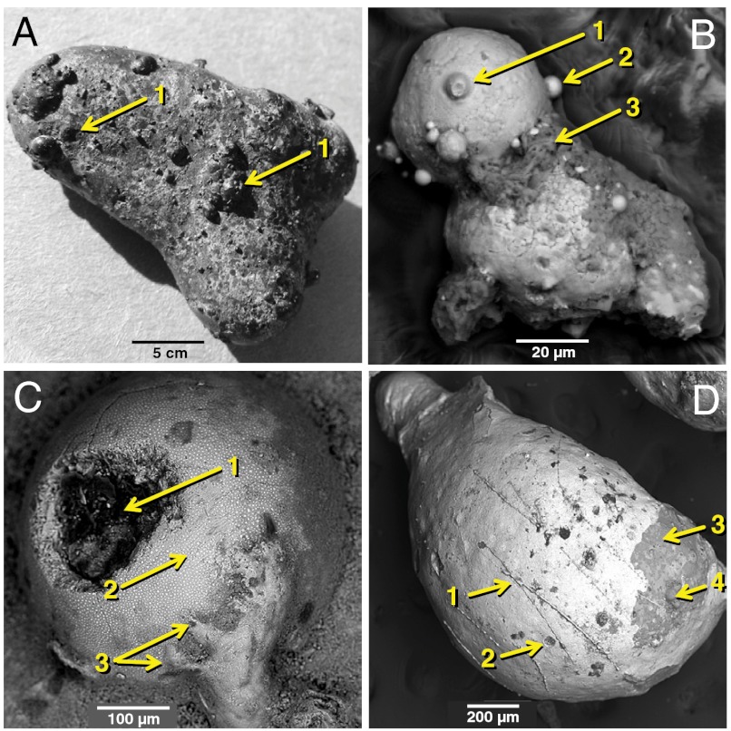 Fig. 9.