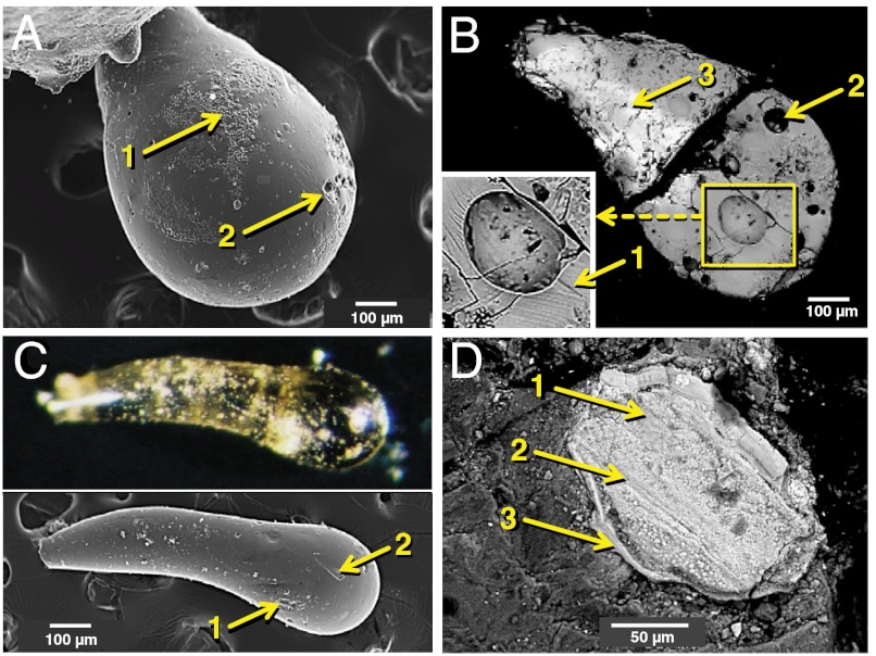 Fig. 14.