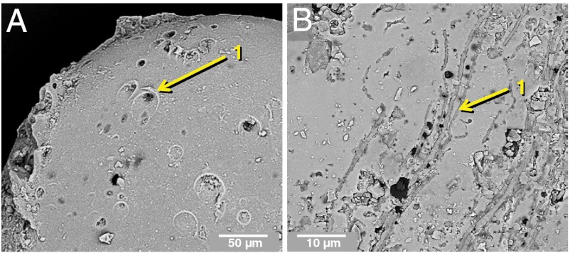 Fig. 13.