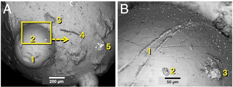 Fig. 16.