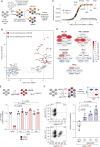 Figure 1. CRISPR screens uncover the functional interplay between the mammalian MLL1 and MLL3/4 chromatin-modifying complexes. A, CRISPR-Cas9–based screening strategy to identify regulators of response to Menin-MLL inhibition. CPD, cell population doublings; sgRNA, single guide RNA; Tf, final time point; T0, initial time point. B, Chromatin-focused CRISPR screening data showing the top 20 most significantly enriched (red) and depleted (blue) genes in the Menin-MLL inhibitor (MI-503) treatment relative to vehicle (DMSO). Gene scores are shown as the mean log2 fold change in abundance of the 6 sgRNAs targeting each gene in each condition. C, Genome-wide CRISPR screening data showing gene-level ranking based on differential enrichment of sgRNAs in the Menin-MLL inhibitor treatment (VTP-50469) relative to vehicle (DMSO). Differential (Δ) beta-score between VTP-50469 and DMSO conditions was calculated using MaGeCK. A positive Δ beta-score denotes enrichment of specific gene-targeting sgRNAs. A negative Δ beta-score denotes depletion of specific gene-targeting sgRNAs. Red circles denote MLL3/4-UTX complex subunits. Yellow circles denote PRC1.1 complex subunits. D, Schematic representation of the top-scoring chromatin regulators in the chromatin-focused MI-503 screen and their corresponding protein complexes. Red denotes enriched subunits. Blue denotes depleted subunits. Color scale represents the log2 fold change in abundance of the 6 sgRNAs targeting each subunit in the Menin-MLL inhibitor (MI-503) treatment relative to vehicle (DMSO). E, Viability assay from cells treated with vehicle (DMSO, black) or Menin-MLL inhibitor (MI-503, red) for 96 hours (mean ± SEM, n = 3 infection replicates, P value calculated by Student t test). sgCtrl, control sgRNA targeting a nongenic region on chromosome 8. F, Relative cell proliferation is shown as the proliferation of double-positive cells (sgMen1-RFP + sgUtx-BFP or sgMen1-RFP + sgCtrl-BFP) relative to single-positive cells (sgMen1-RFP) 16 days after infection measured by flow cytometry (mean ± SEM, n = 3 infection replicates, P value calculated by Student t test). Representative FACS plots are shown for sgControl- and sgUtx-targeted cells.