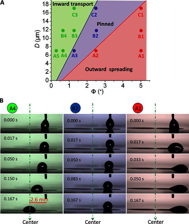 Fig. 3