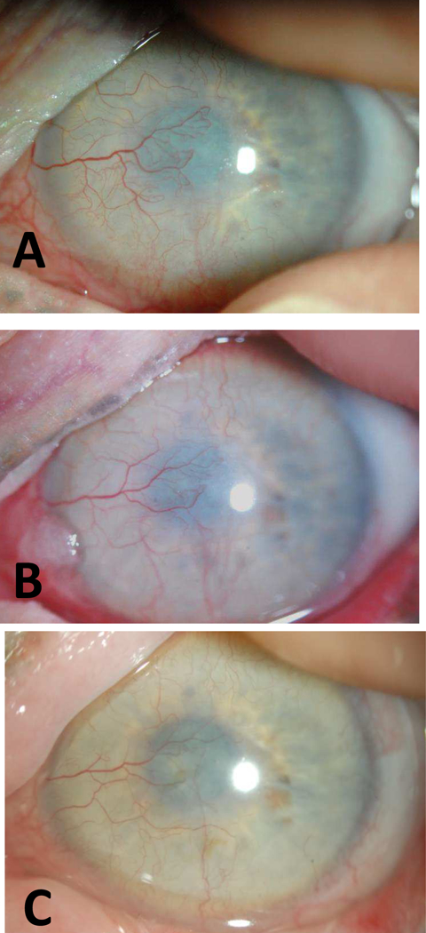 Figure 7.