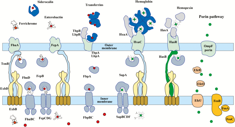 Figure 1.