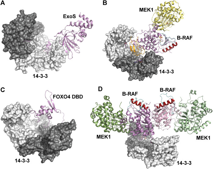 FIGURE 4