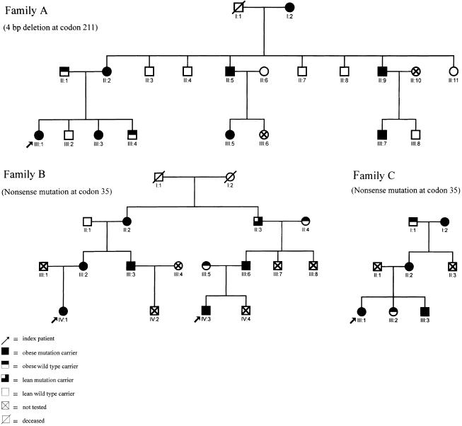 Figure  1