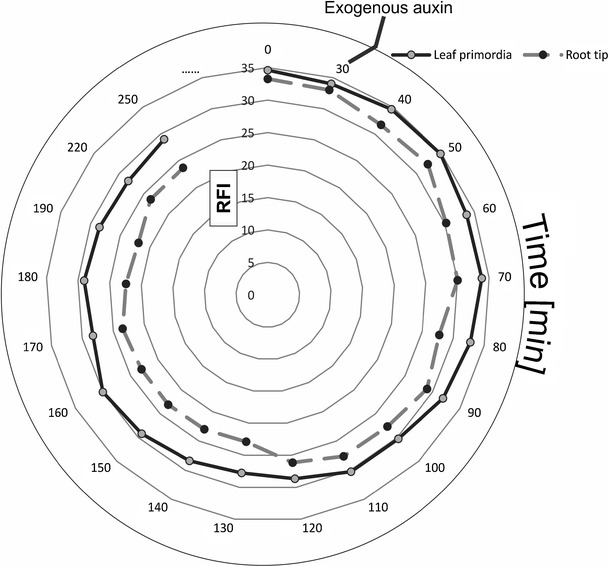 Fig. 5