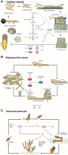 Figure 3