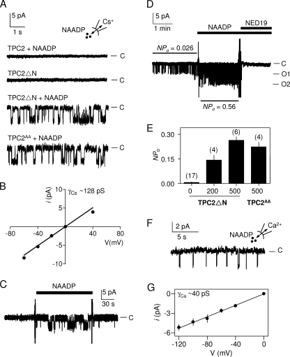 FIGURE 4.