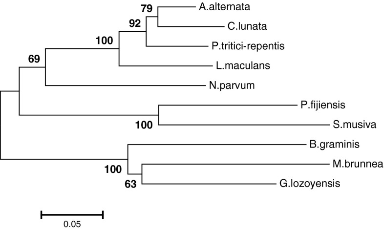 Fig. 1