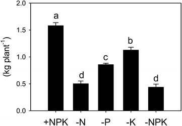 Fig. 2