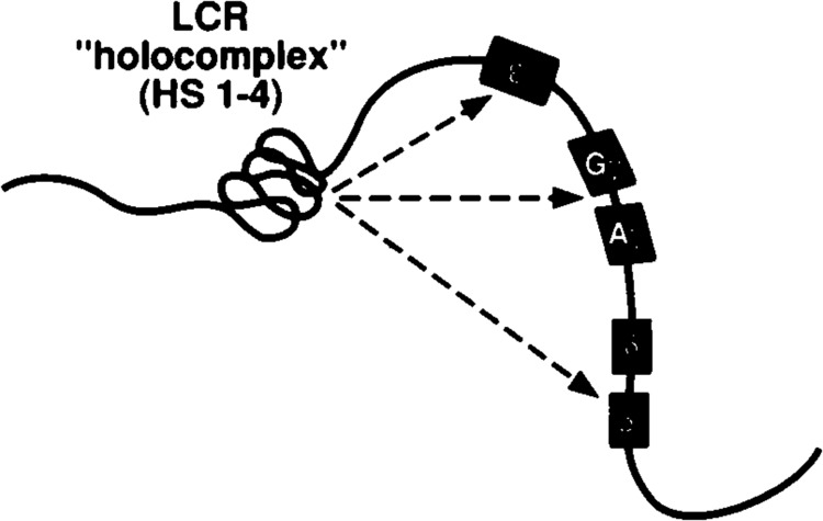 FIG. 3