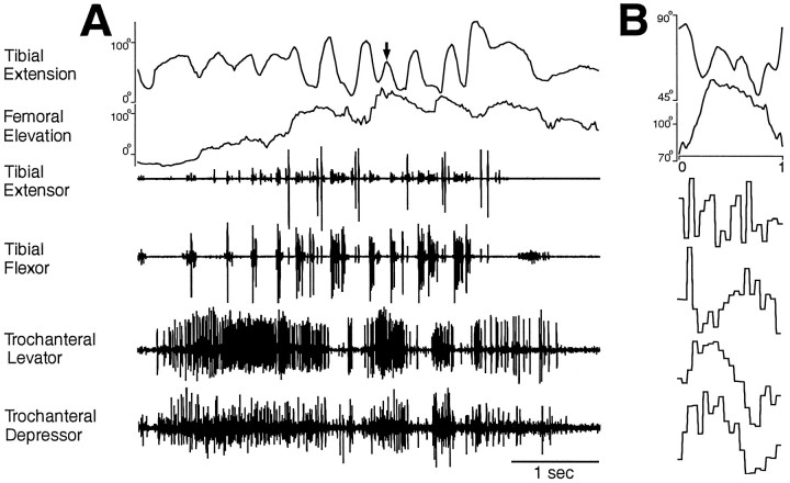 Fig. 8.