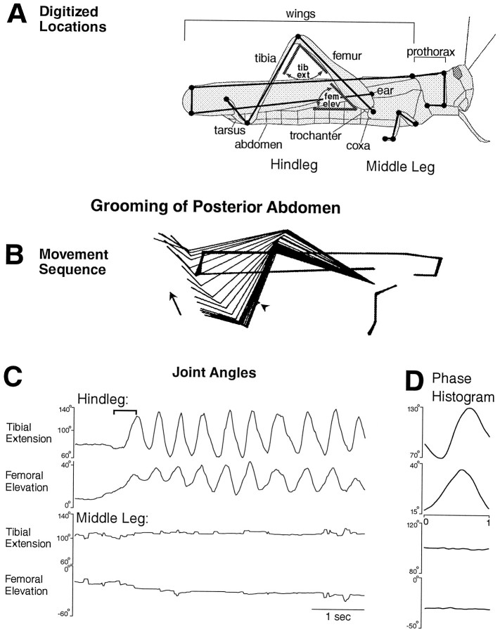 Fig. 1.