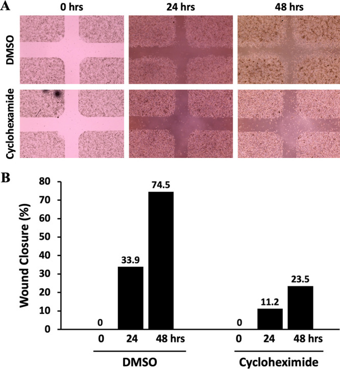 FIG 2